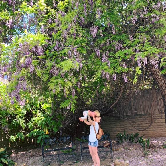 Meet your Posher, Michele - Picture 1 of 1